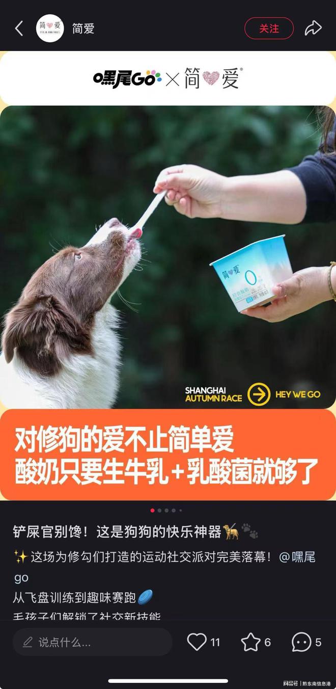 ”撬动萌宠经济与母婴信任双赛道开元棋牌简