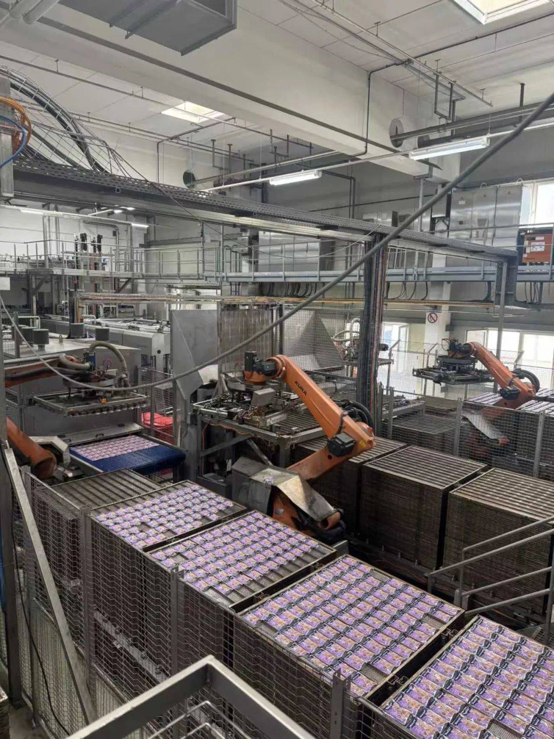 物食品市场百年德企开启中国式新战略开元ky棋牌用德国品质赋能中国宠(图7)