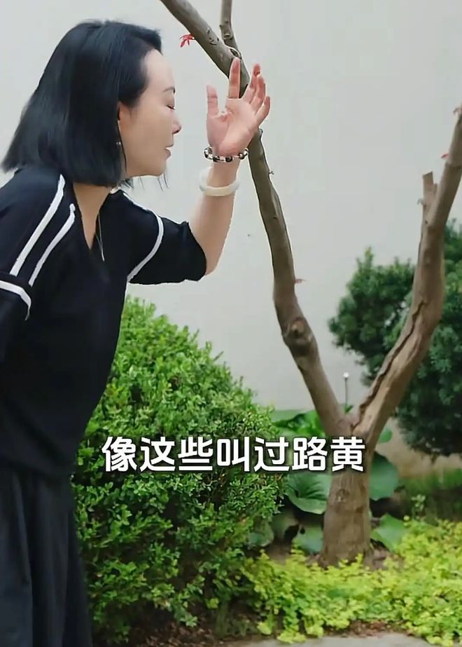 住别墅院子稀稀老婆感叹回不到以前开元棋牌破产后王中磊搬新家依